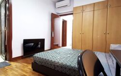 The Mayfair (D22), Condominium #608024611